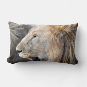 Lion Portrait Kussen