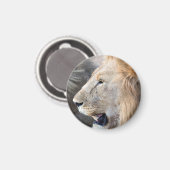 Lion Portrait Magneet (Voorkant / Achterkant)