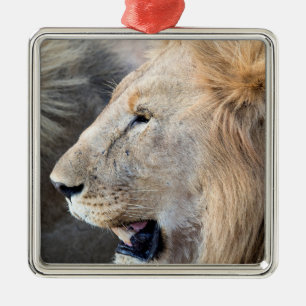 Lion Portrait Metalen Ornament