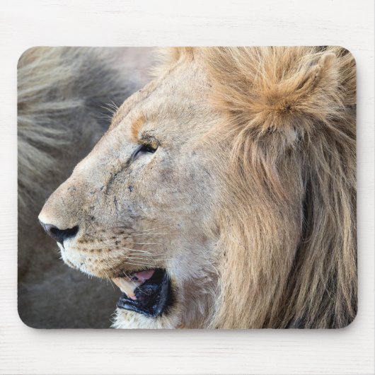 Lion Portrait Muismat (Voorkant)