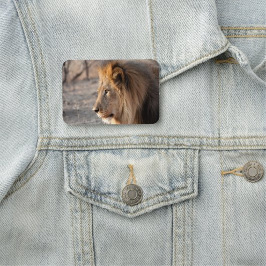Lion Portrait Naamplaatje (In situ)