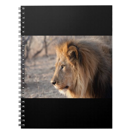 Lion Portrait Notitieboek (Voorkant)