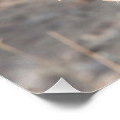 Lion Portrait Perfect Poster (Hoek)