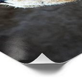 Lion Portrait Perfect Poster (Hoek)