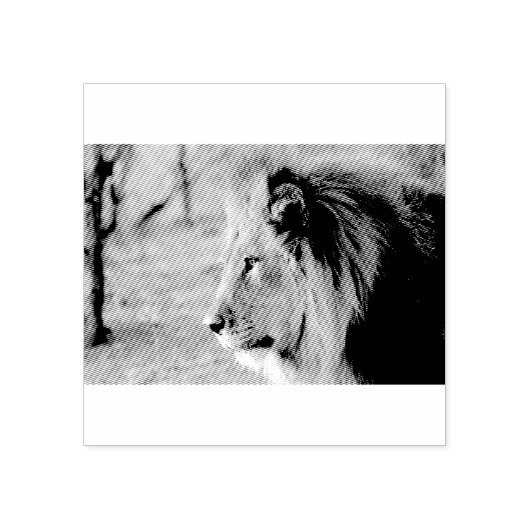 Lion Portrait Rubberstempel (Afrduk)