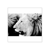 Lion Portrait Rubberstempel (Afrduk)