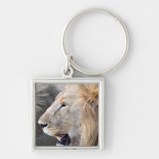 Lion Portrait Sleutelhanger (Voorkant)