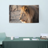 Lion Portrait Spandoek (Beurs)