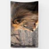 Lion Portrait Spandoek (Verticaal)