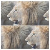 Lion Portrait Stof (Close Up)