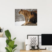 Lion Poster (Thuiskantoor)