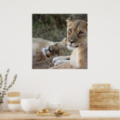 Lion poster (Keuken)