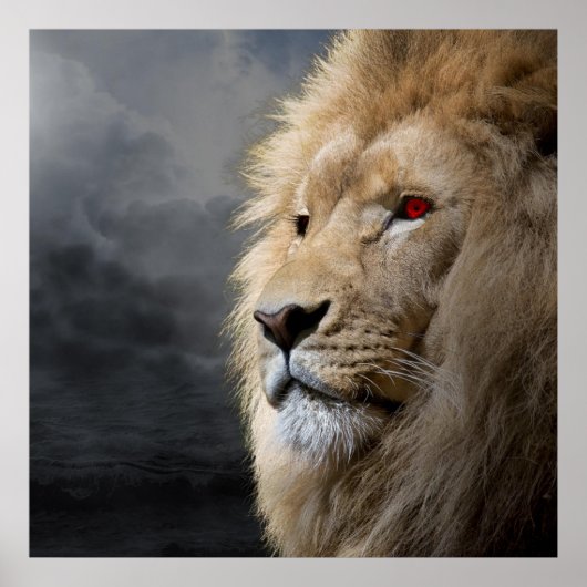 Lion Poster (Voorkant)