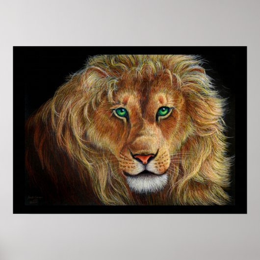 Lion Poster (Voorkant)