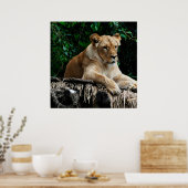 Lion poster (Keuken)