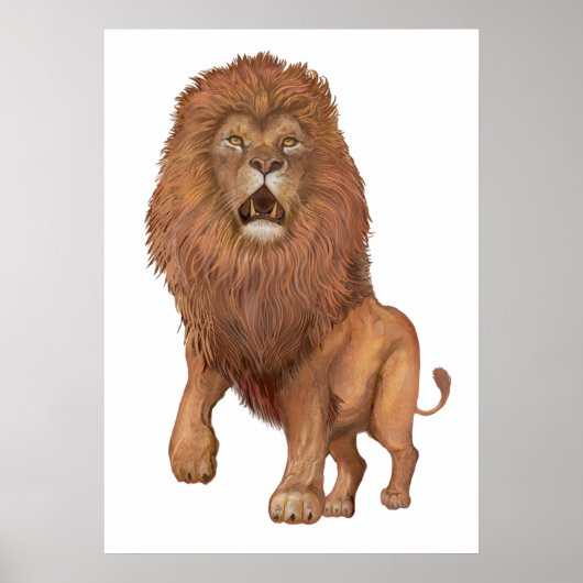 Lion Poster (Voorkant)