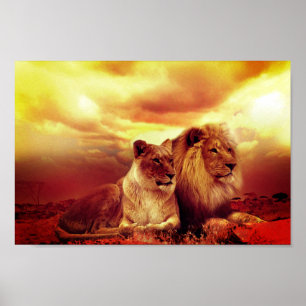Lion Poster