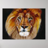 Lion Poster (Voorkant)