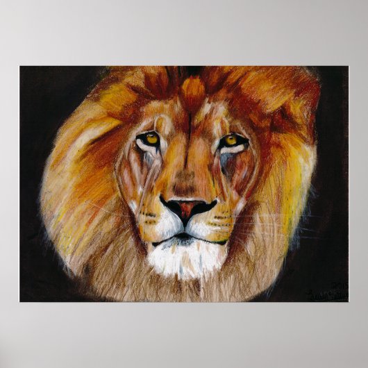 Lion Poster (Voorkant)