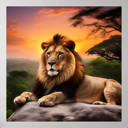 Lion Poster (Voorkant)