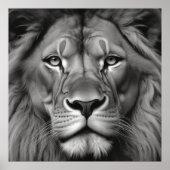 Lion Poster (Voorkant)