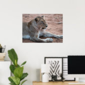 Lion Poster (Thuiskantoor)