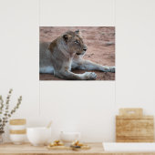 Lion Poster (Keuken)