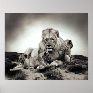 Lion Poster