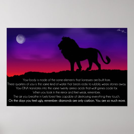 Lion Poster (Voorkant)