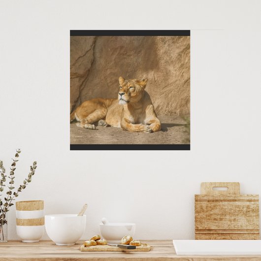 Lion poster (Keuken)