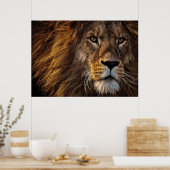 Lion Predator Lion Poster (Keuken)