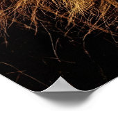 Lion Predator Lion Poster (Hoek)