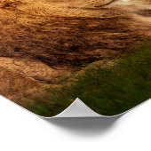 Lion pride poster (Hoek)