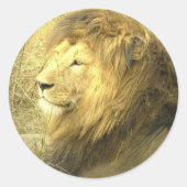 Lion Pride Sticker (Voorkant)