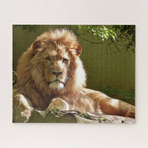 Lion Puzzle Legpuzzel
