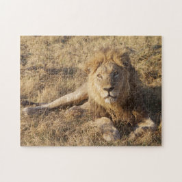 Lion Puzzle Legpuzzel