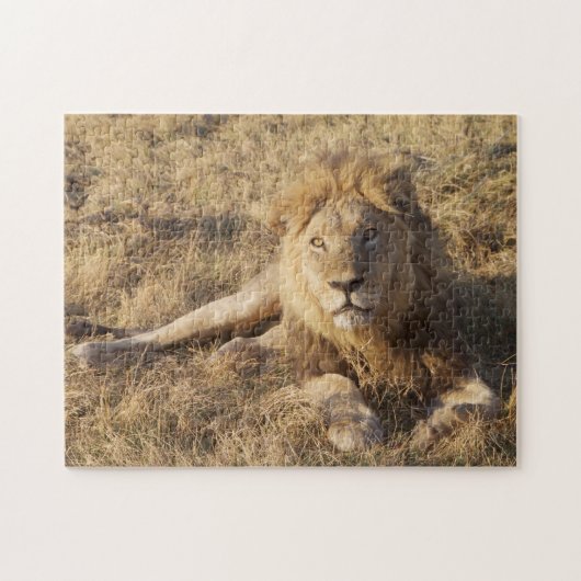 Lion Puzzle Legpuzzel (Horizontaal)