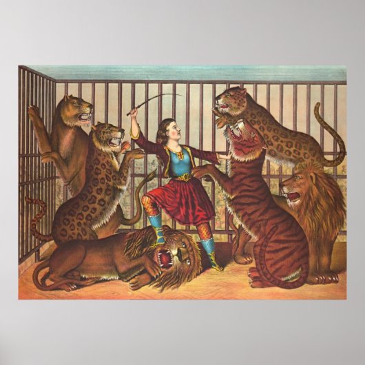 Lion Queen 1874 Poster (Voorkant)