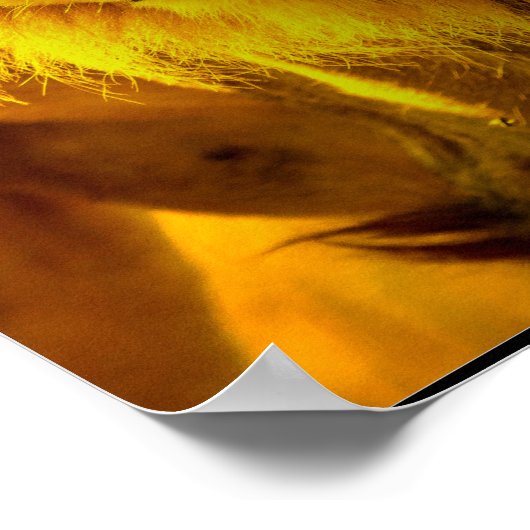 Lion Quote Poster (Hoek)