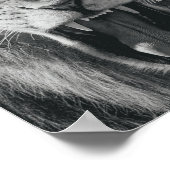 Lion Rage Black en White Roar Poster (Hoek)