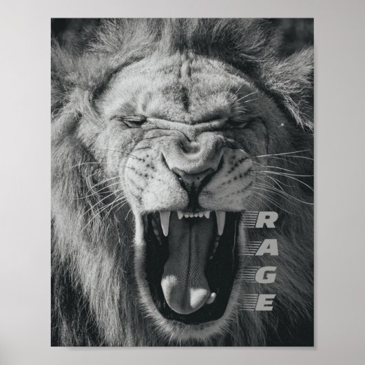 Lion Rage Black en White Roar Poster (Voorkant)