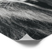 Lion Rage Black en White Roar Poster (Hoek)