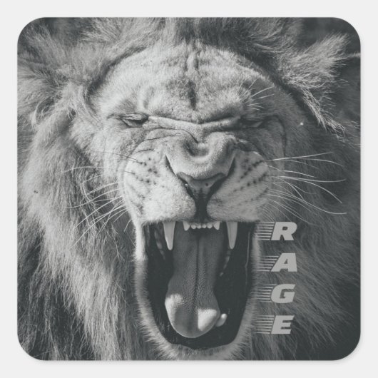 Lion Rage Black en White Roar Vierkante Sticker (Voorkant)