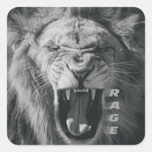 Lion Rage Black en White Roar Vierkante Sticker