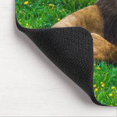 Lion Relaxing in Green Grass Foto Muismat (Hoek)