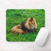 Lion Relaxing in Green Grass Foto Muismat (Met muis)