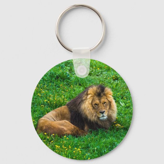 Lion Relaxing in Green Grass Foto Sleutelhanger (Voorkant)