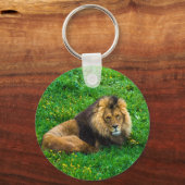 Lion Relaxing in Green Grass Foto Sleutelhanger (Voorkant)