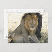 Lion Resting Briefkaart (Voorkant / Achterkant)