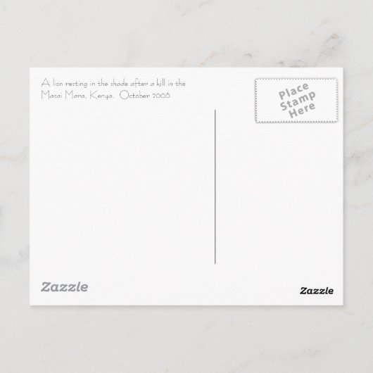 Lion Resting Briefkaart (Achterkant)